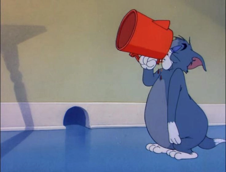 Meme mèo Tom buồn ngủ nhưng vẫn đáng yêu