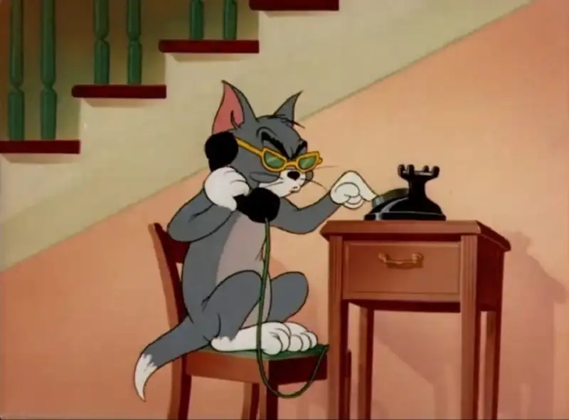 Ảnh meme mèo Tom được yêu thích nhất hiện nay