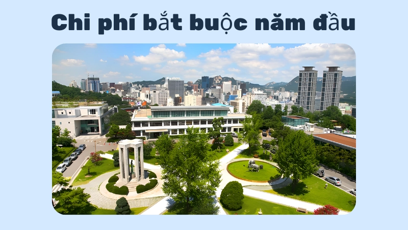 Chi phí học phí hệ tiếng tại các trường đại học Seoul