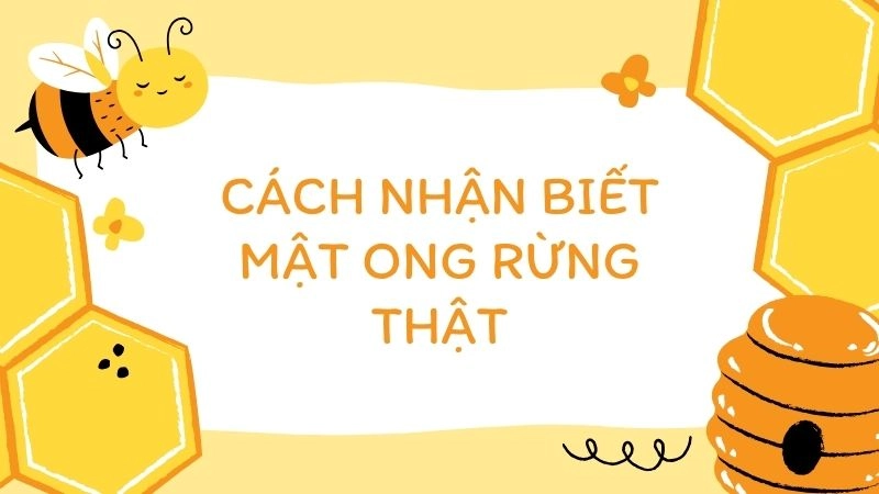 Quan sát màu sắc và độ sánh – Dấu hiệu đầu tiên không thể đánh lừa 