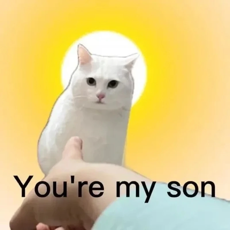 Mèo vô tri meme là như thế nào?