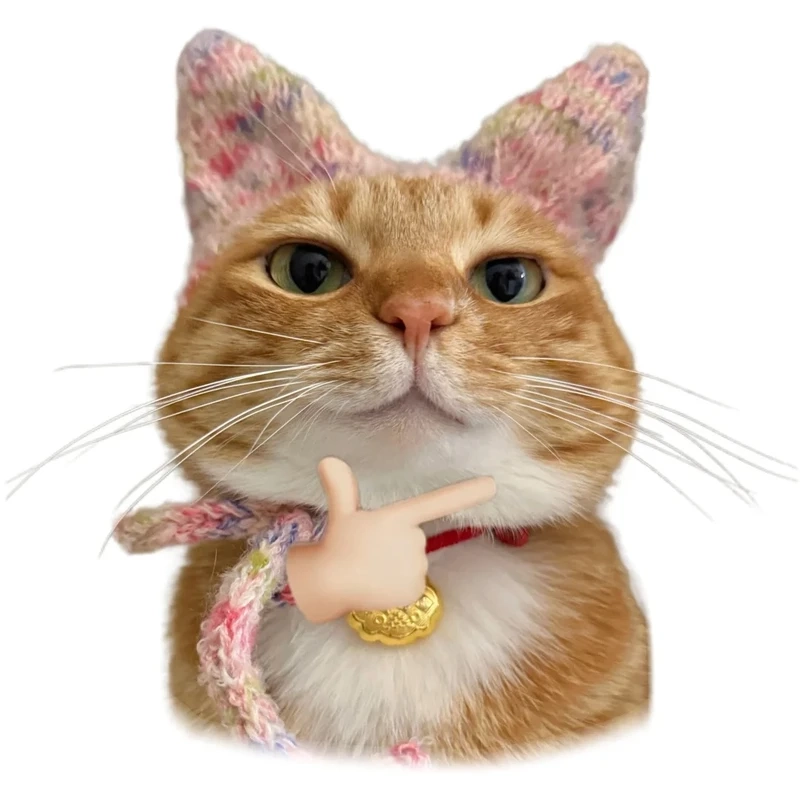 Hot trend ảnh meme avatar vô tri mèo đang được share rầm rộ