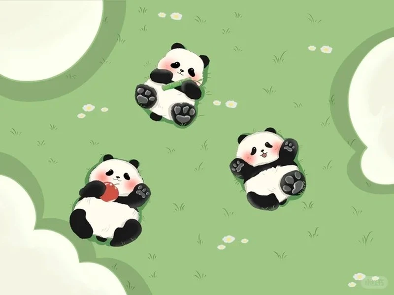 Hình nền gấu trúc là gì?