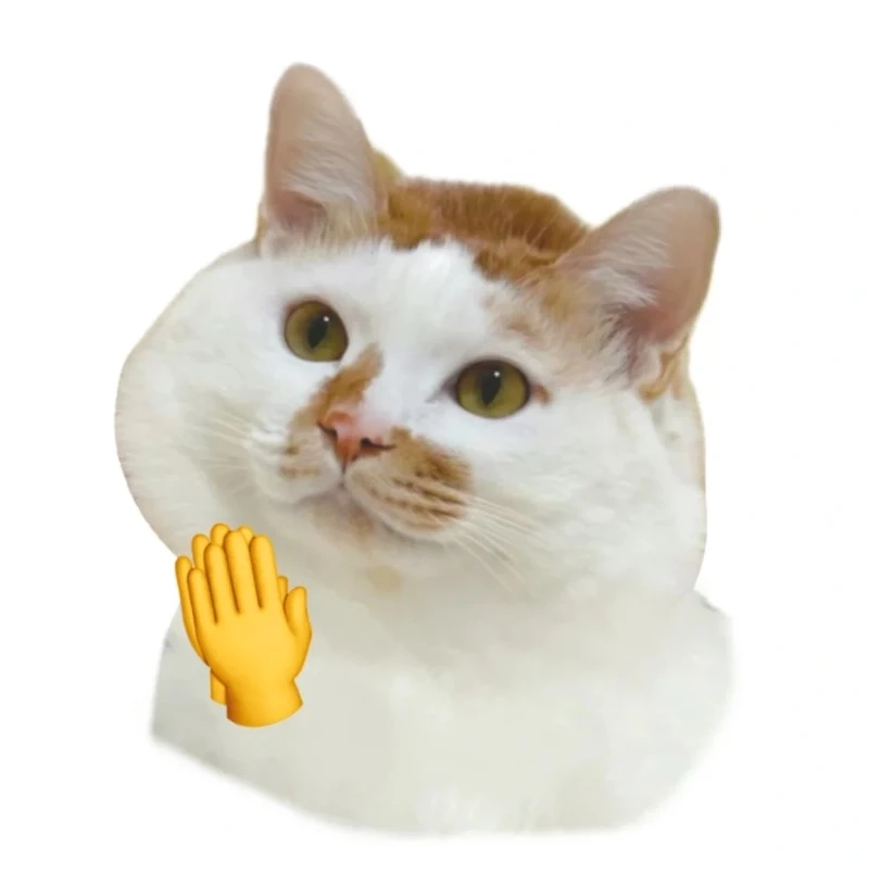 Đổi gió với avatar vô tri mèo meme siêu mặn