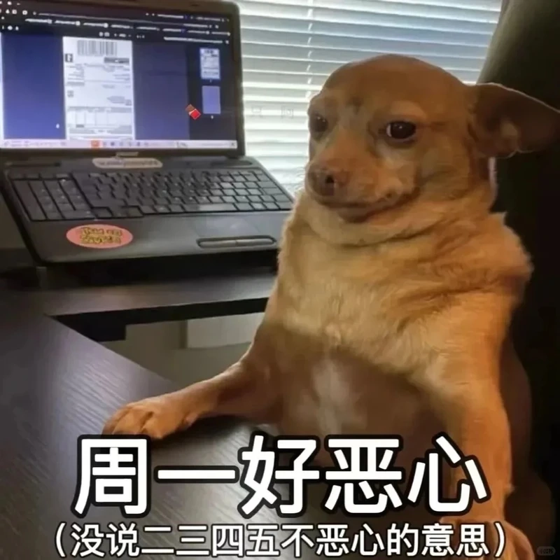 Biểu cảm đối lập tạo trend angry happy chihuahua meme