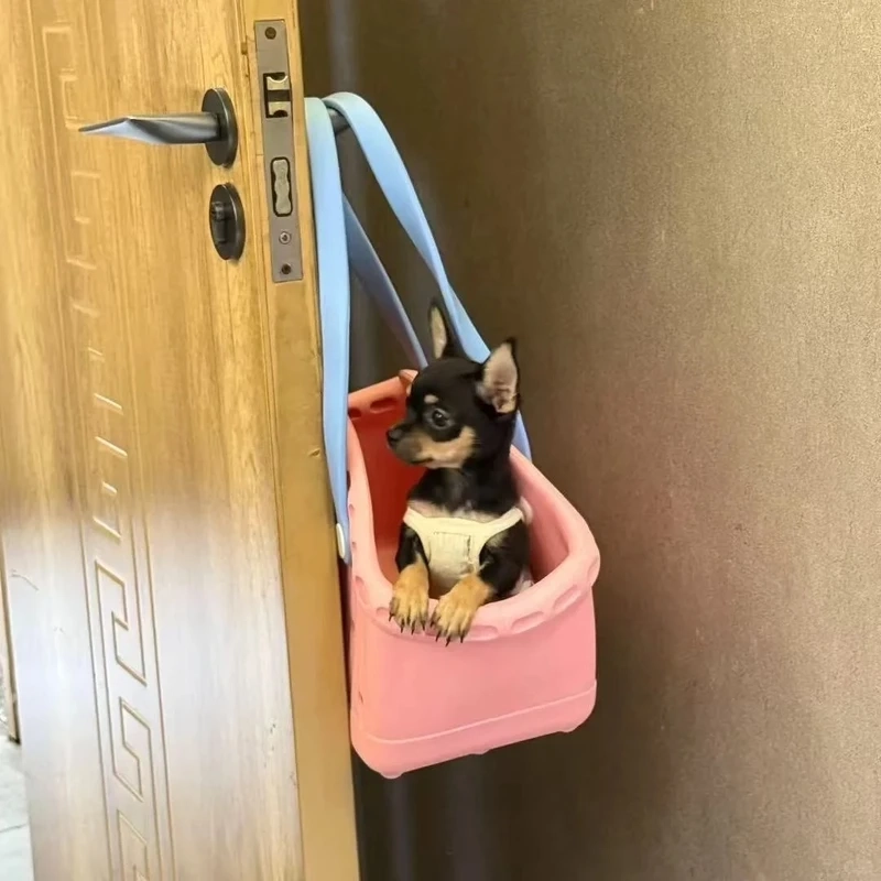 Ánh mắt khó chịu đúng chất annoyed chihuahua meme