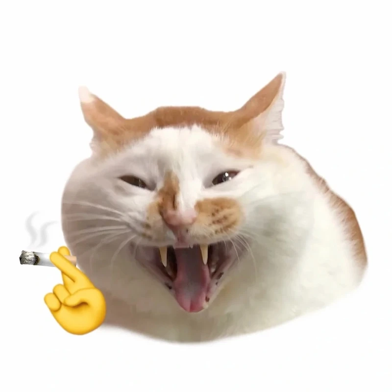 Full bộ avatar vô tri meme mèo cho dân hệ trầm cảm hài