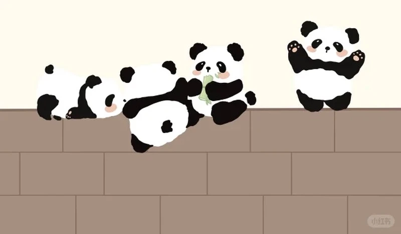 Hình nền cute gấu dành cho team yêu phong cách dễ thương