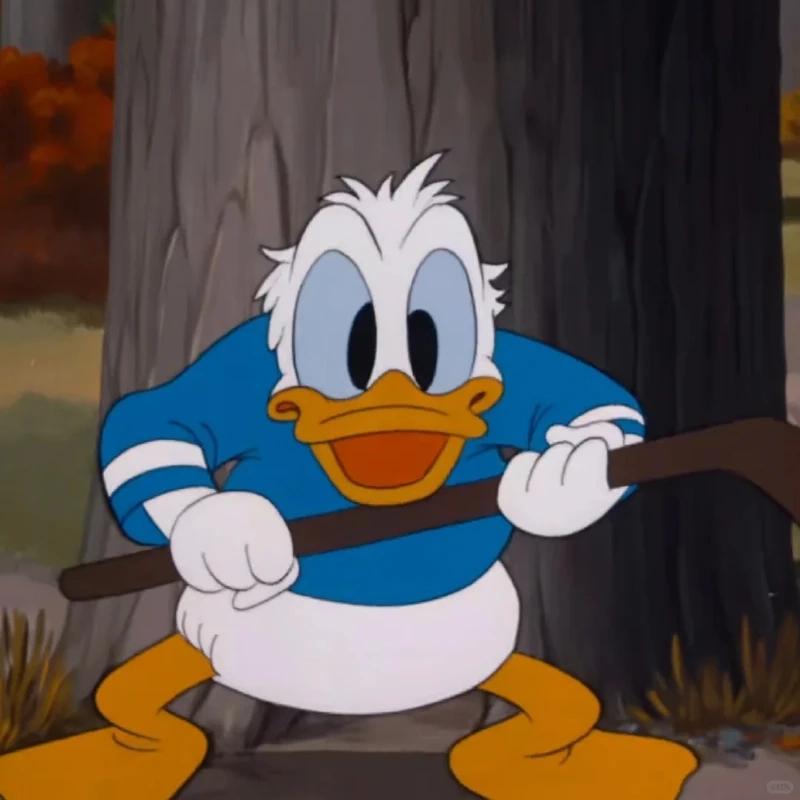 Hình ảnh vịt Donald Việt Nam chế hài cực vui